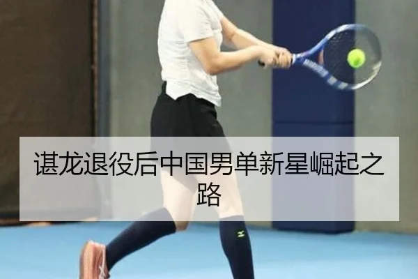 谌龙退役后中国男单新星崛起之路
